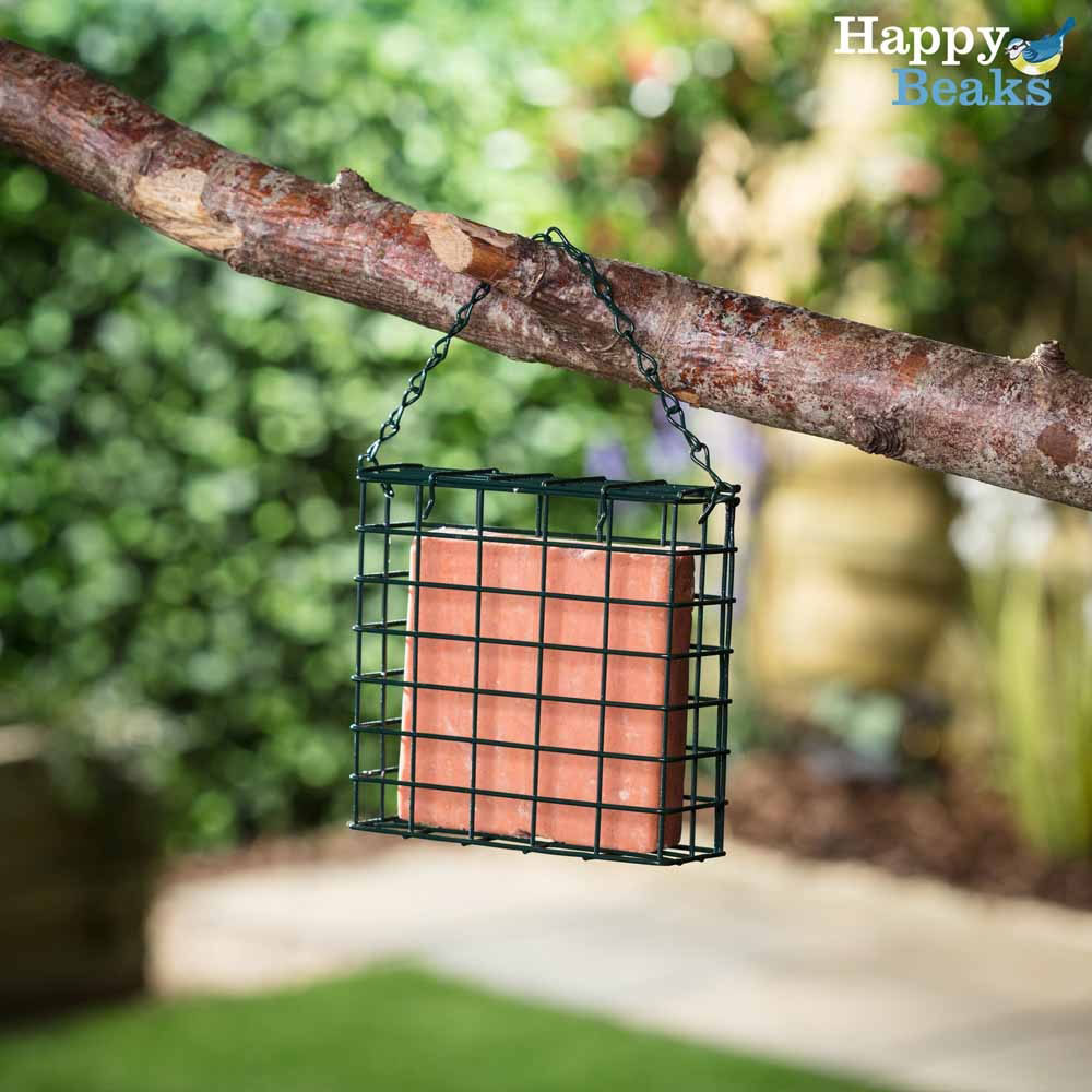Happy Beaks Berry Suet Block Bird Food 3 x 3 Pack Image 2
