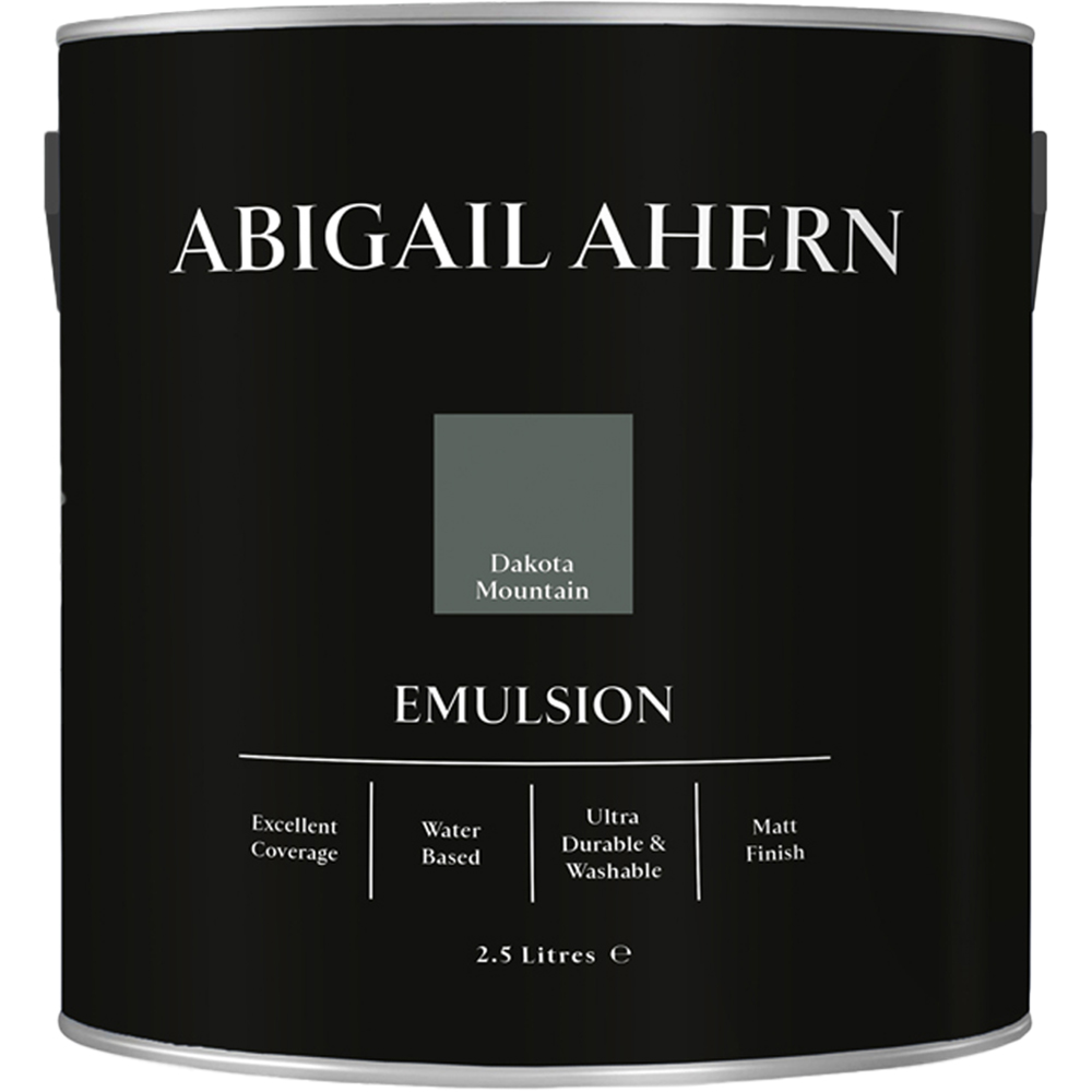 Abigail Ahern Walls and Ceilings Dakota Mountain Emulsion Paint 2.5L Image 2