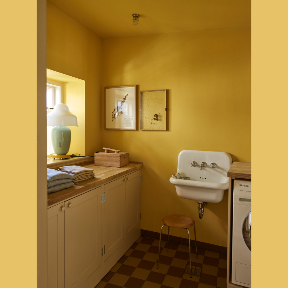 Farrow & Ball Interior Wood and Metal 223 Babouche Flat Eggshell Paint 2.5L Image 4