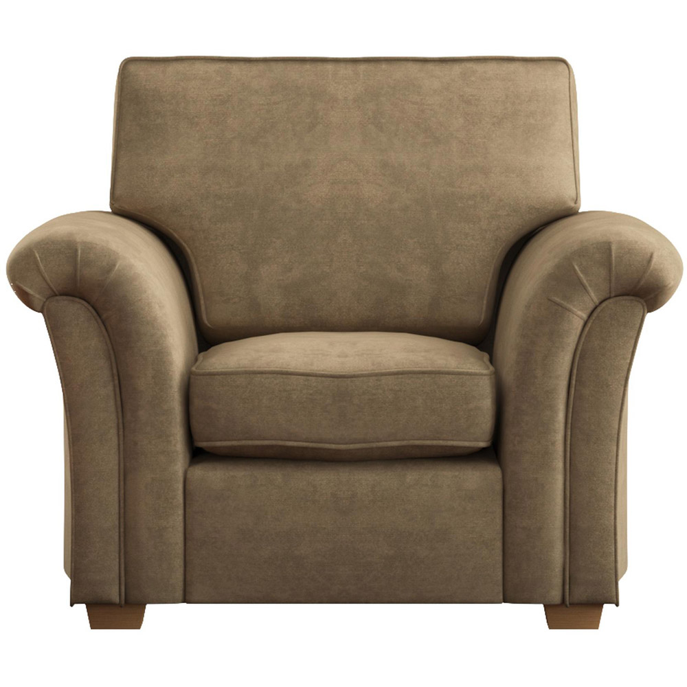 Castleacre Mink Plush Velvet Fixed Back Armchair Image 3
