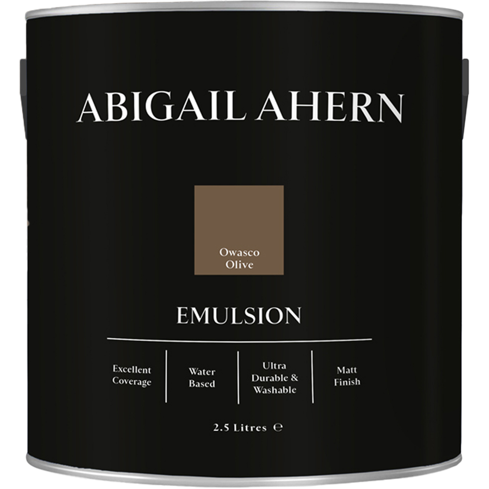 Abigail Ahern Walls and Ceilings Owasco Olive Emulsion Paint 2.5L Image 2