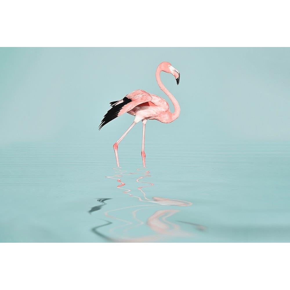 A.S Creation Flamingo Water Digital Wall Mural Image 2