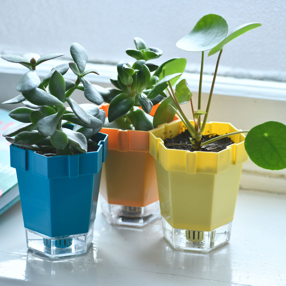 Burgon and Ball Growing Gardeners Link-A-Pot Set of 3 Image 2