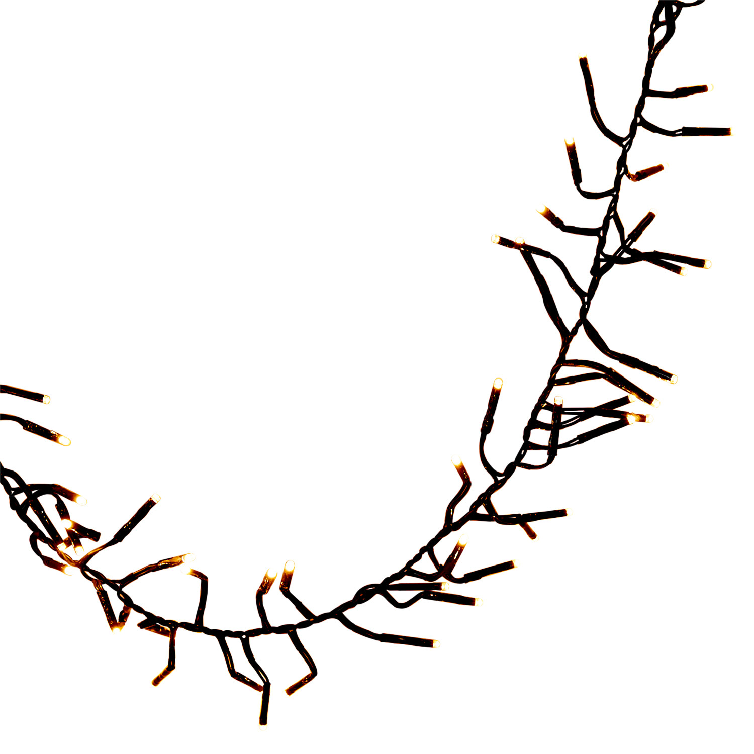 2000 Cluster LED Light Chain Warm White Image 4