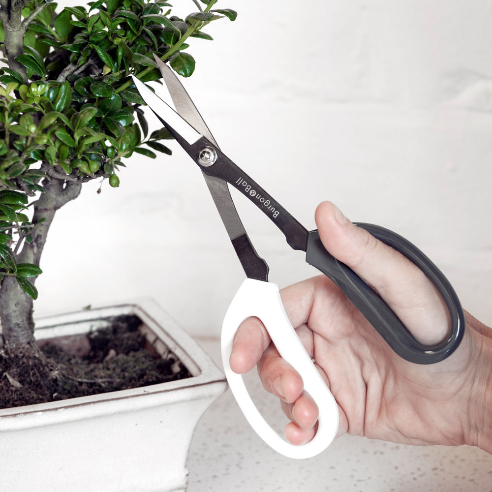 Burgon and Ball Japanese Pruning Scissors Image 4