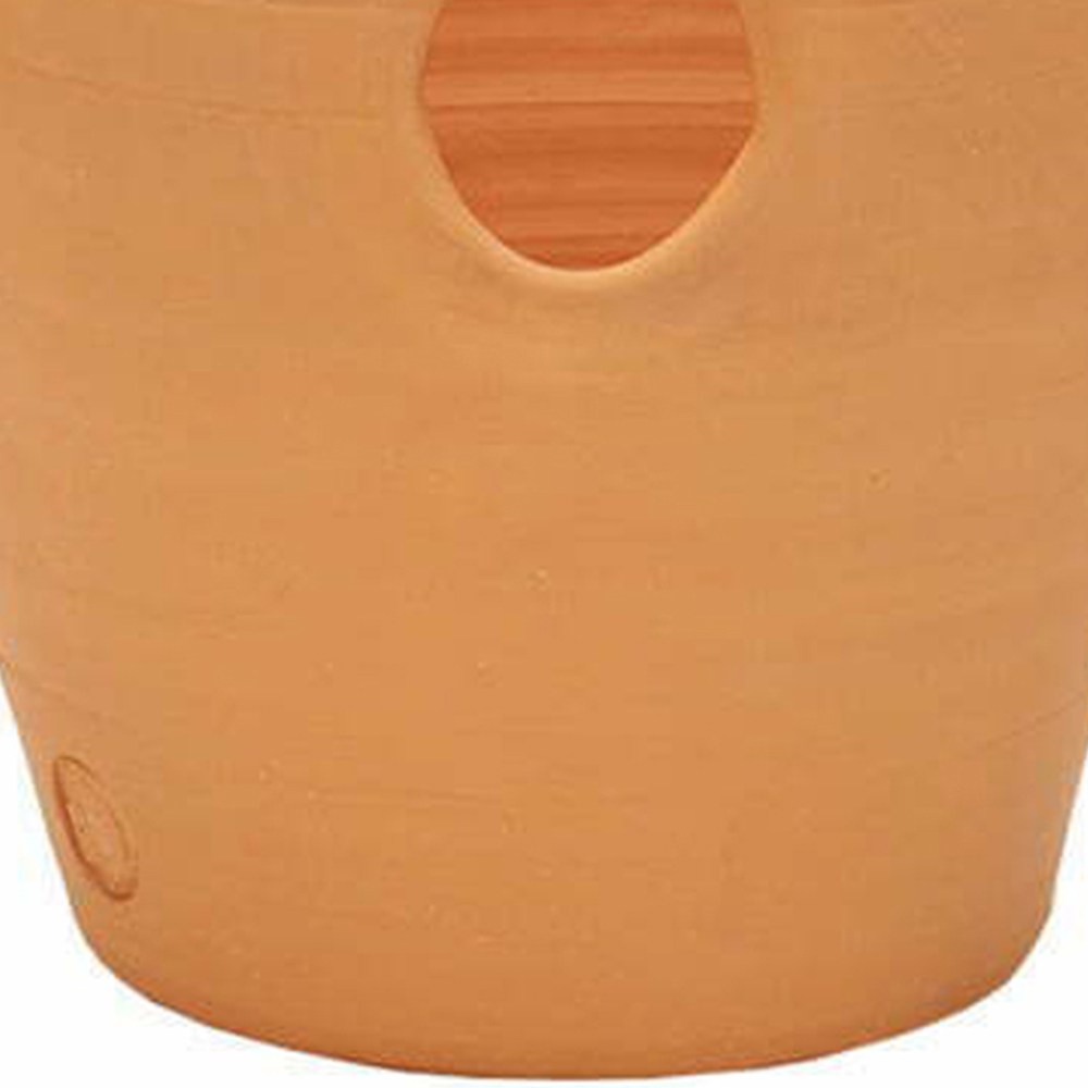 APTA Terracotta Outdoor Herb Planter 20cm Image 3