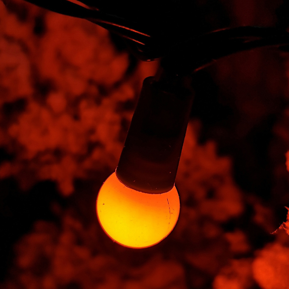 Samuel Alexander 100 Rainbow LED Pearl Berry Multi-Function Green String Light 10m Image 5