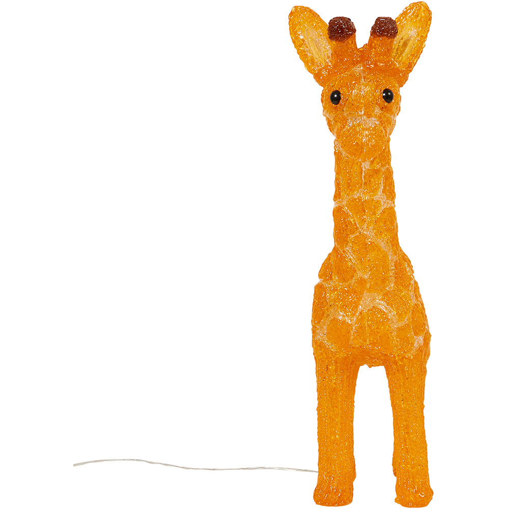 Acrylic Giraffe Light - Orange Image 3