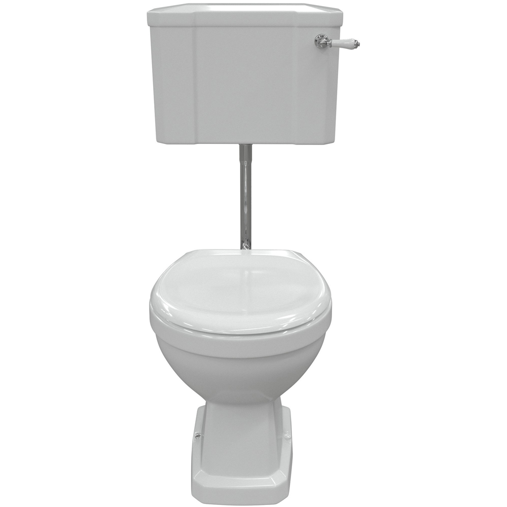Bathstore Pelosa Low Level WC and Standard Soft Close Seat with Dual Flush and Brass Hinges Image 3