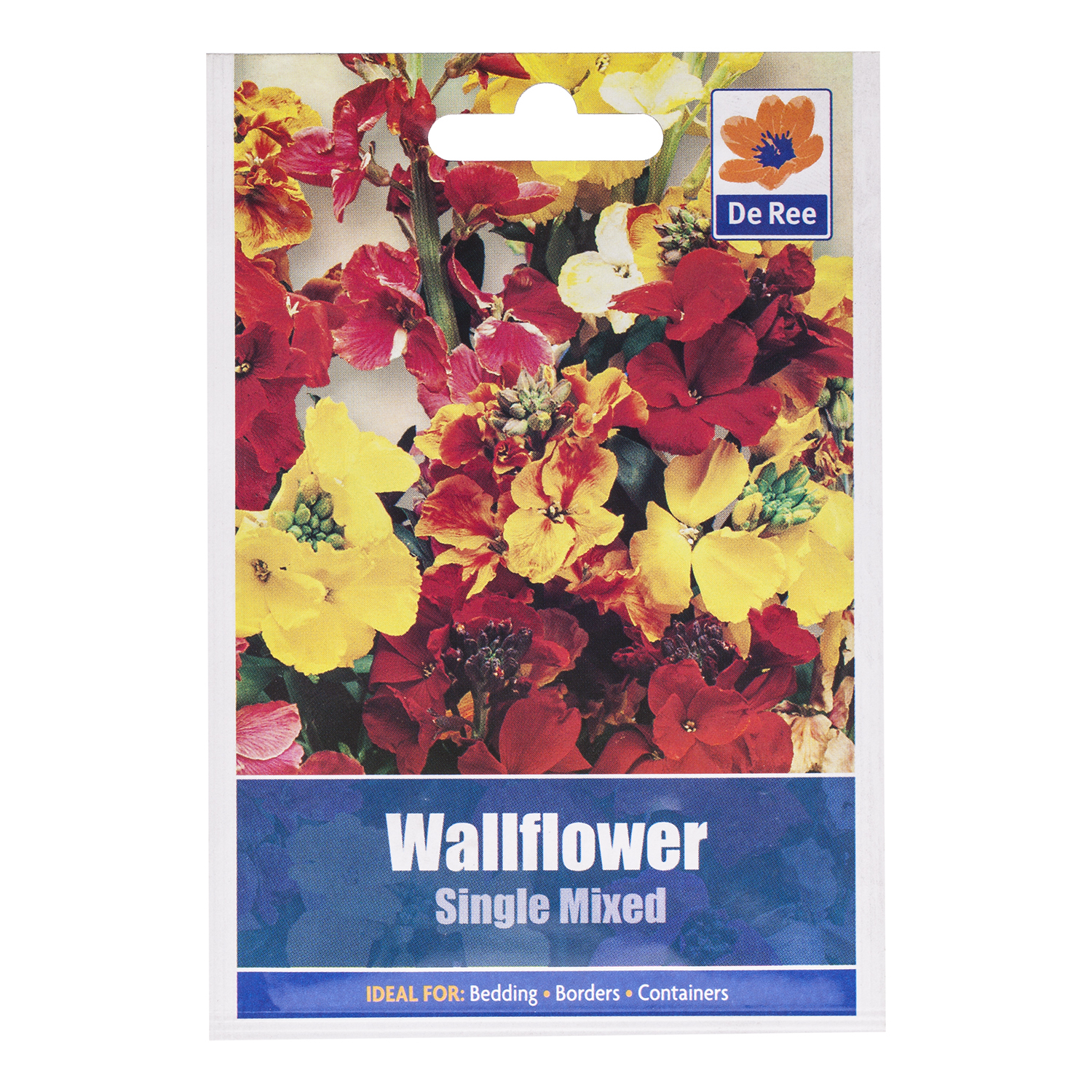 Wallflower Single Mixed Seed Packet Image 2