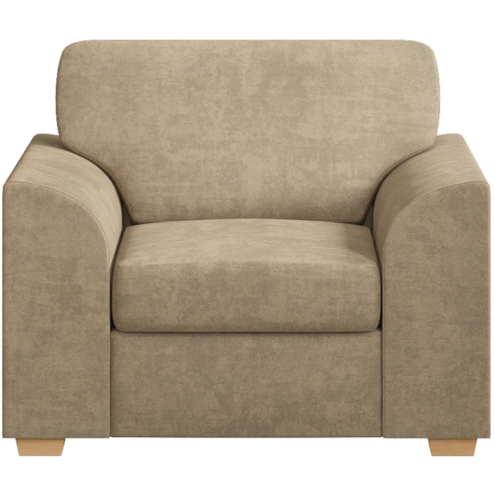 Modo Mink Plush Velvet Fixed Back Armchair Image 3
