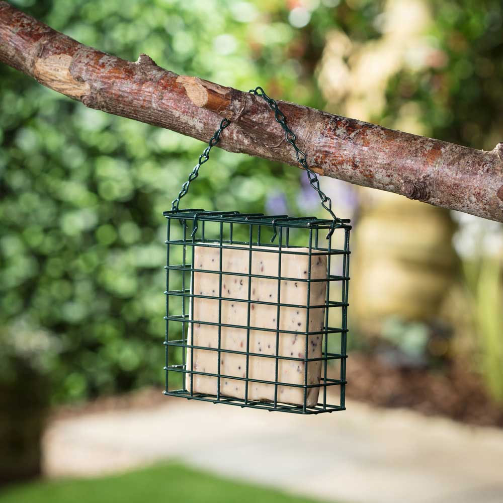 Happy Beaks Seeded Suet Block Bird Food 3 Pack Image 2