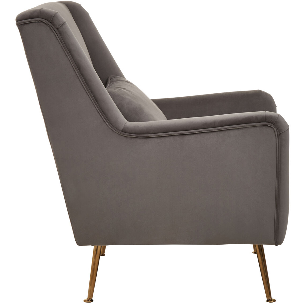 Premier Housewares Doucet Grey Velvet Chair with Gold Legs Image 2