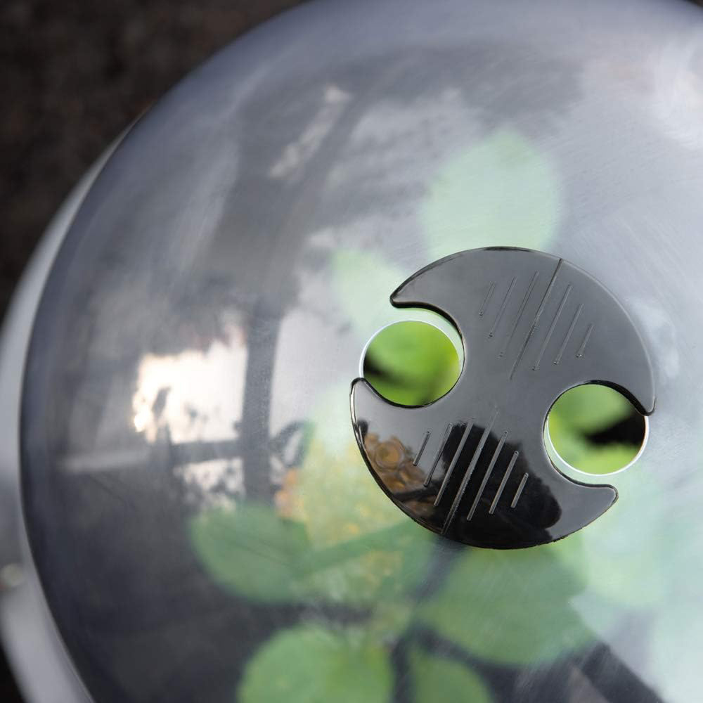 Garden Gear Bell Cloche 33.5 x 30cm 3 Pack Image 4