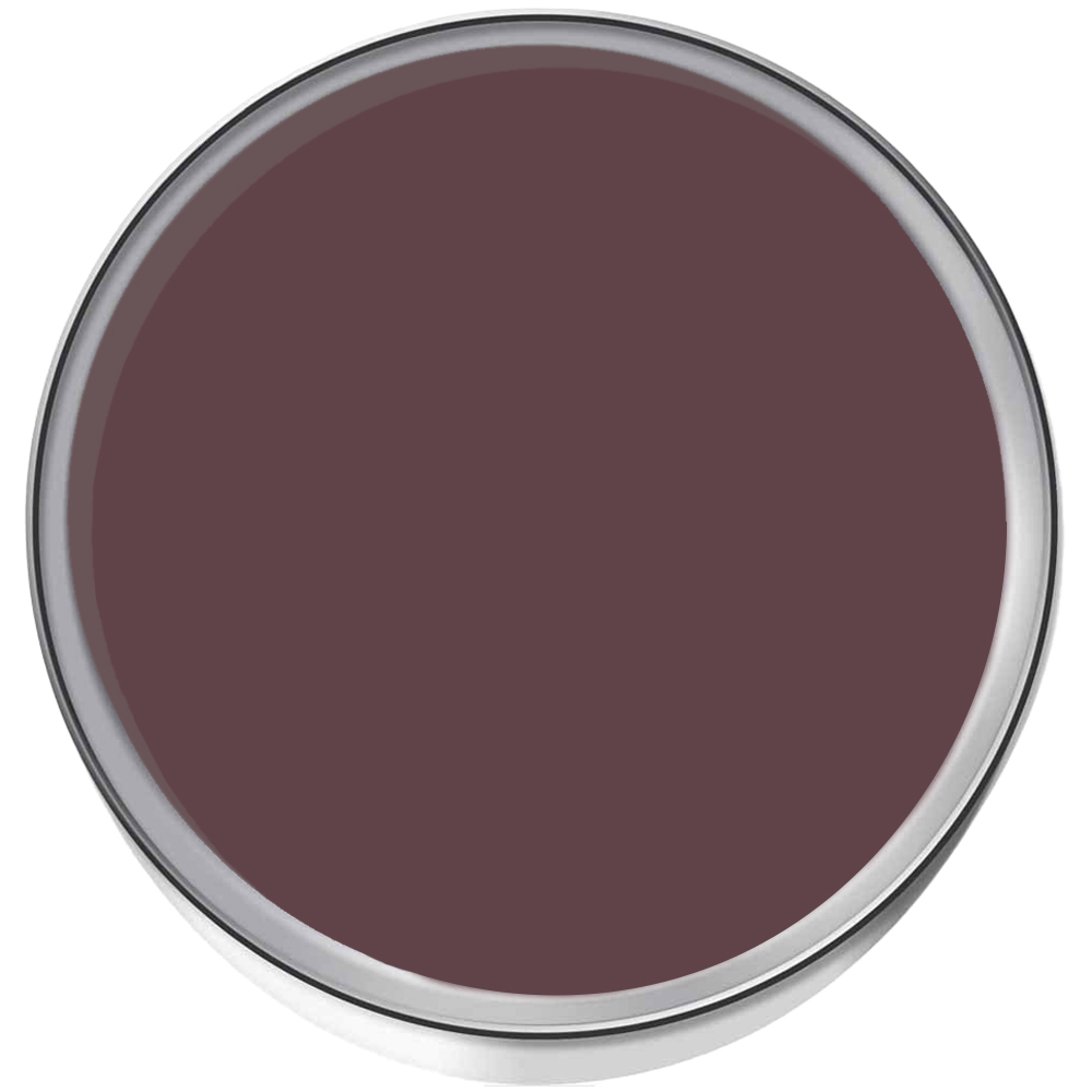 Farrow & Ball Dead Flat Brinjal Matt Paint 5L Image 3