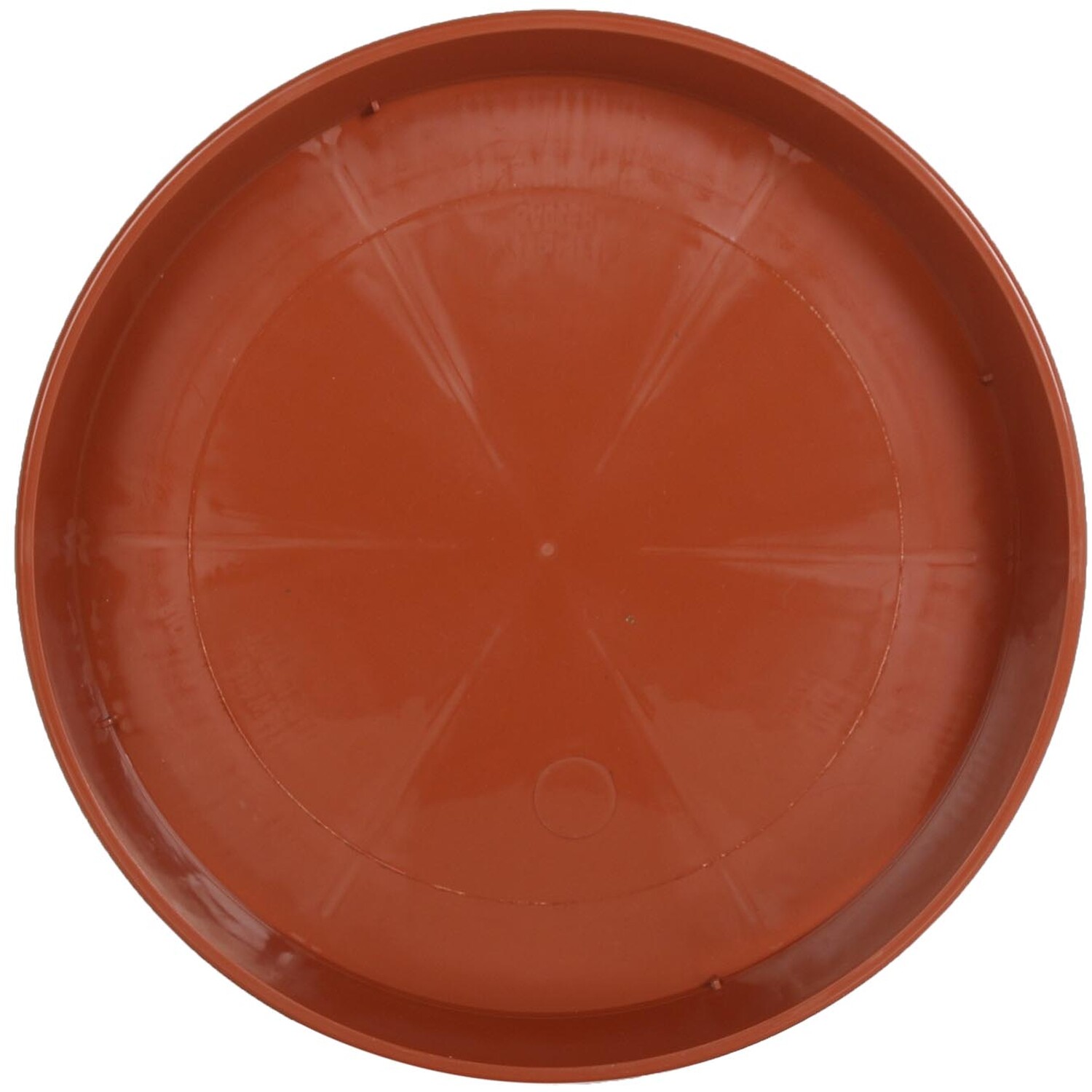 24cm Grow Saucer Image 1