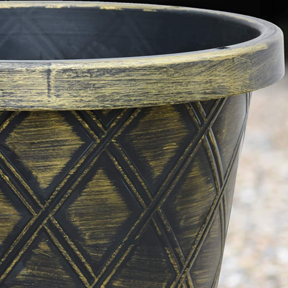 Thompson and Morgan Agapanthus Blue and White Coll Bare Root 12 Pack with Plant Pot 39cm 2 Pack Image 6