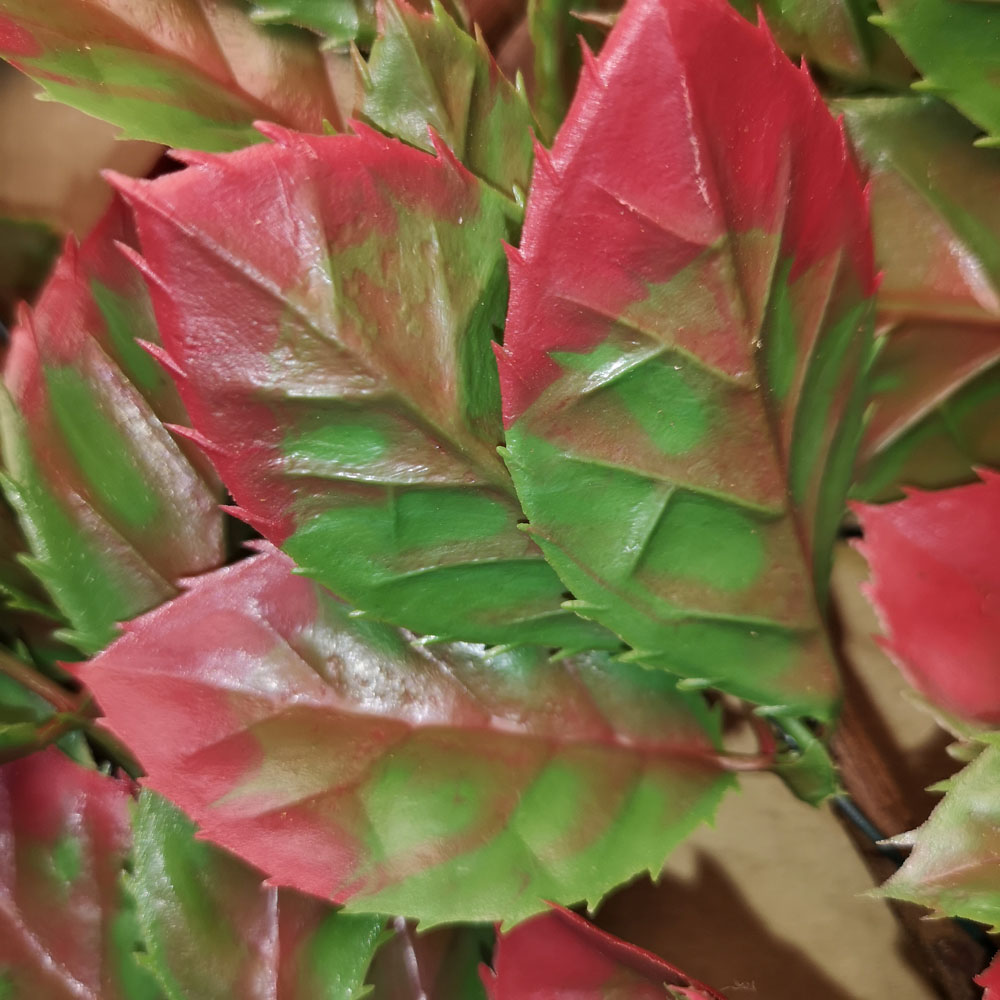 Samuel Alexander Artificial Red Beech Leaf Fence Garden Trellis Image 5