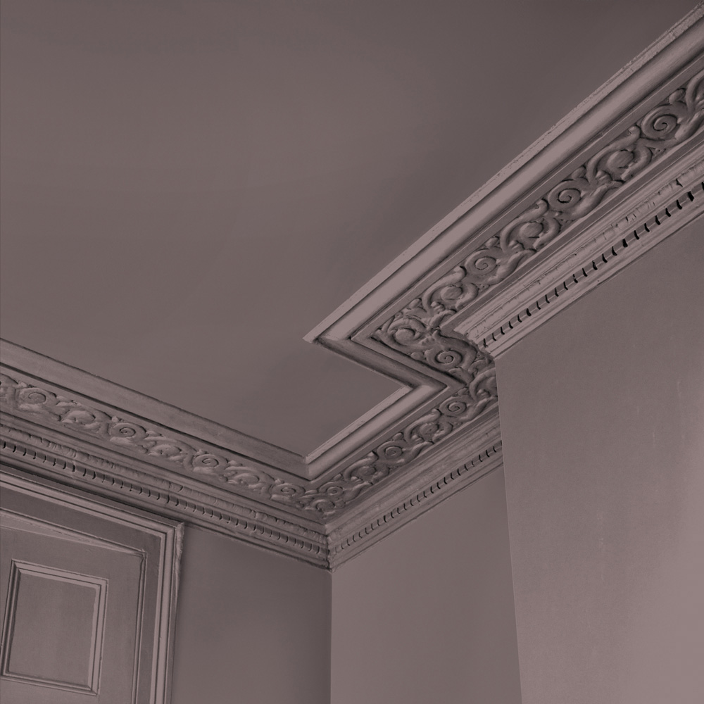 Abigail Ahern Walls and Ceilings Sequoia Tree Emulsion Paint 2.5L Image 4