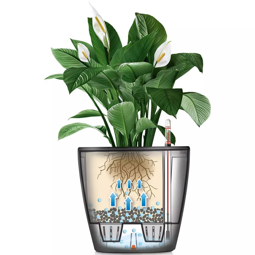 Lechuza Classico Silver Polyresin Self Watering Planter 28cm 2 Pack Image 3