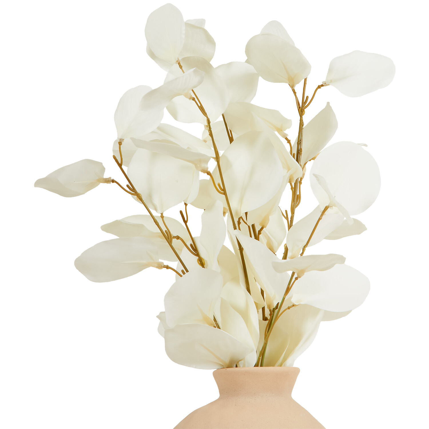 Bleached Eucalyptus Vase Arrangement - Pink and White Image 4
