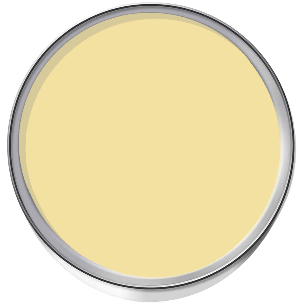 Farrow & Ball Dead Flat Dayroom Yellow Matt Paint 5L Image 3