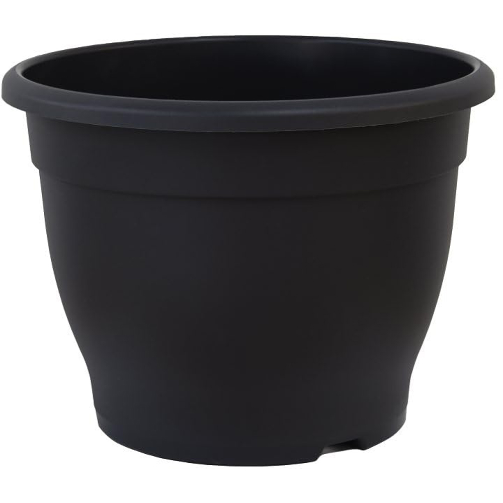 Thompson and Morgan Hydrangea Vanilla Fraise Dark Grey Patio Plant Pot 8cm 2 Pack Image 2