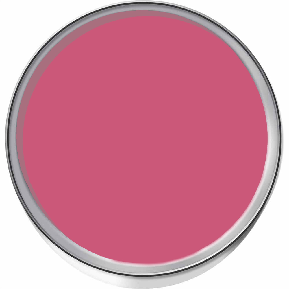 Hemway Hibiscus Pink Furniture and Walls Matt Chalk Paint 1L Image 3