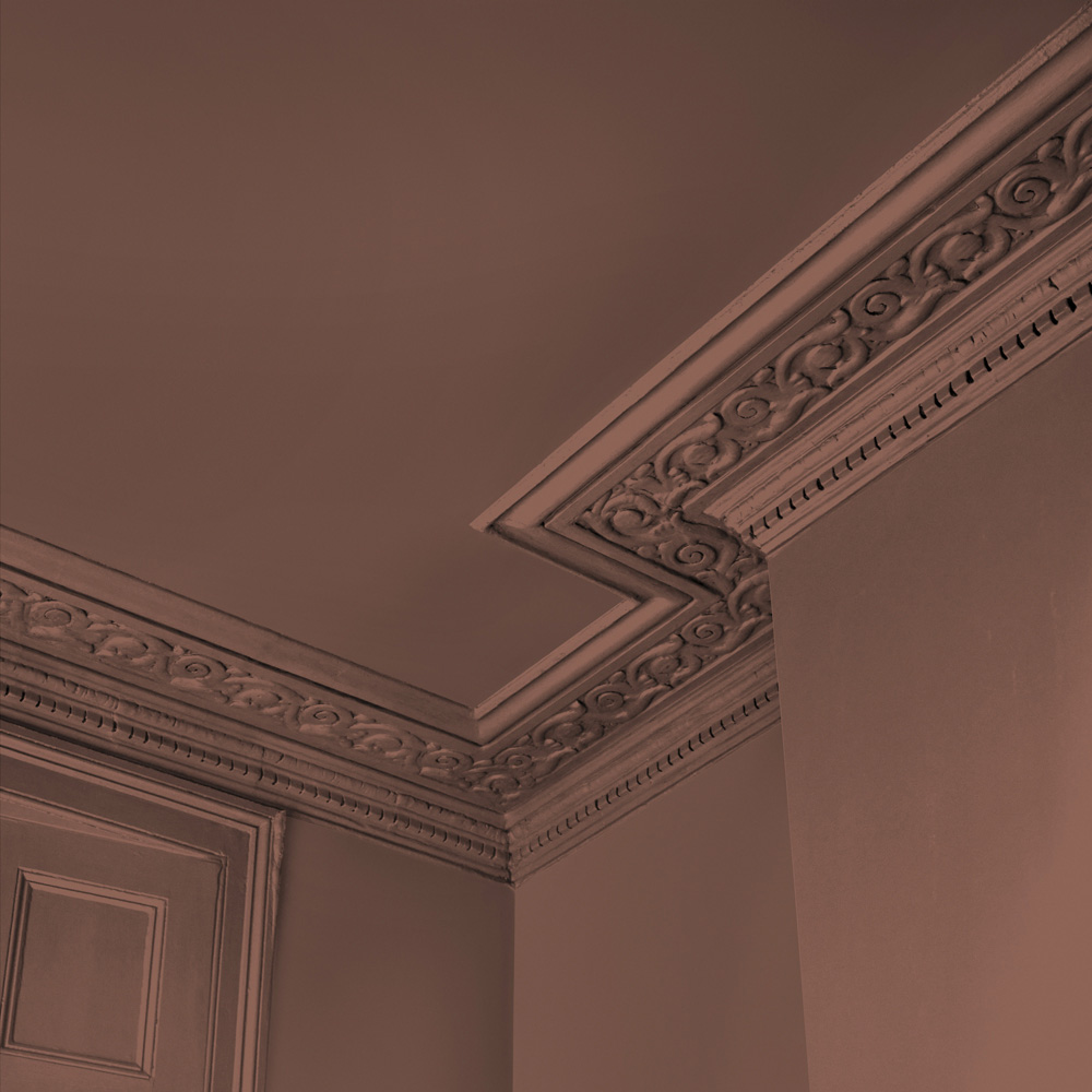 Abigail Ahern Walls and Ceilings Java Paint Emulsion Paint 2.5L Image 4