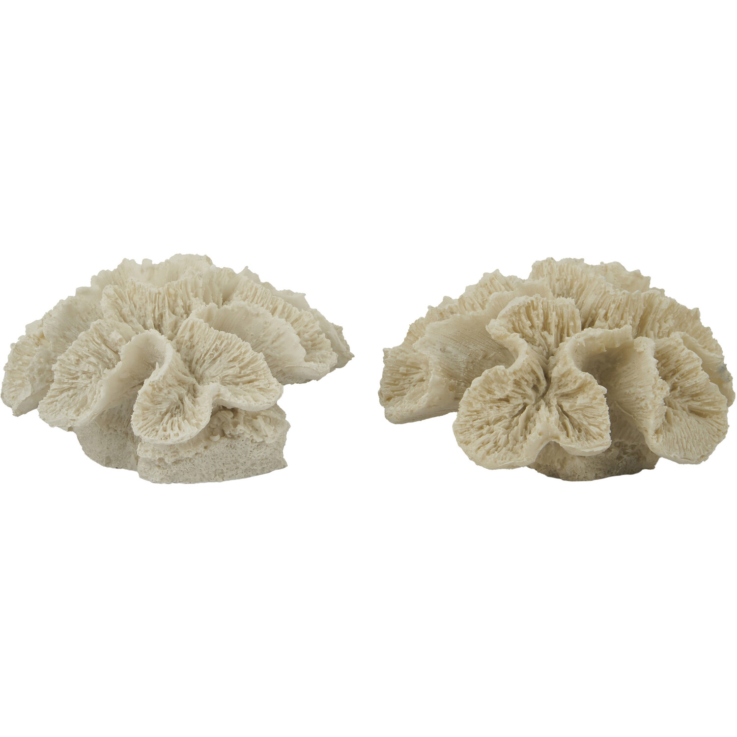 Coral Ornament - Natural Image 2
