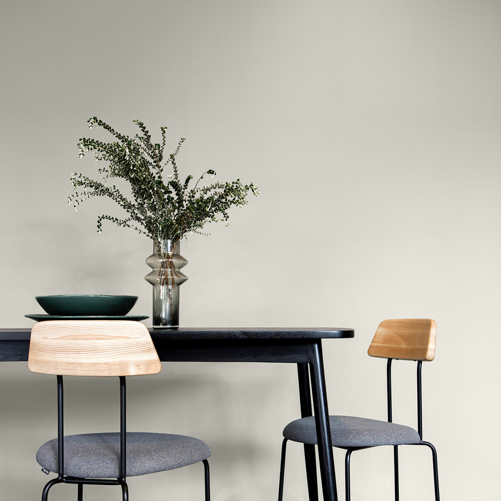 Craig & Rose Walls and Ceilings Iona White Chalky Emulsion Paint 5L Image 4