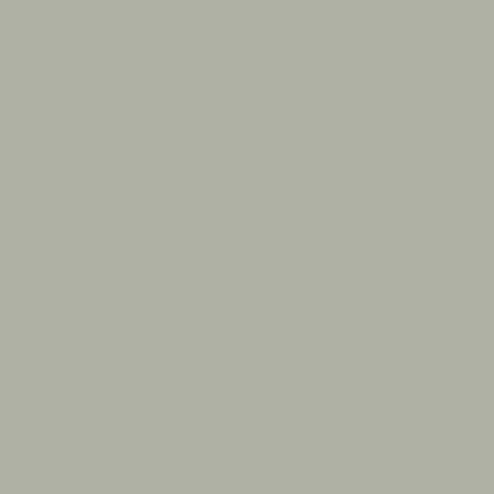 William Morris At Home Crumbled Sage Gallery Emulsion Paint 2.5L Image 6