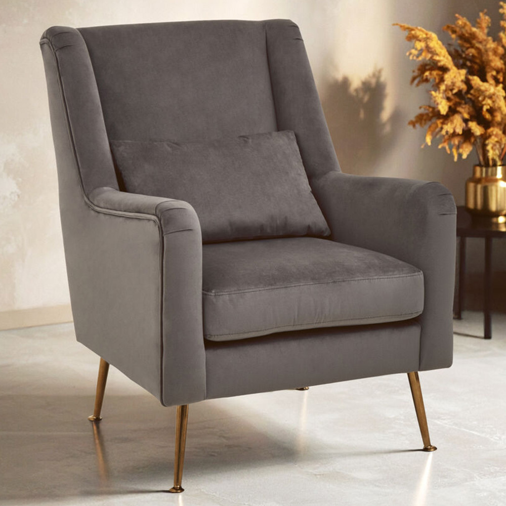 Premier Housewares Doucet Grey Velvet Chair with Gold Legs Image 3