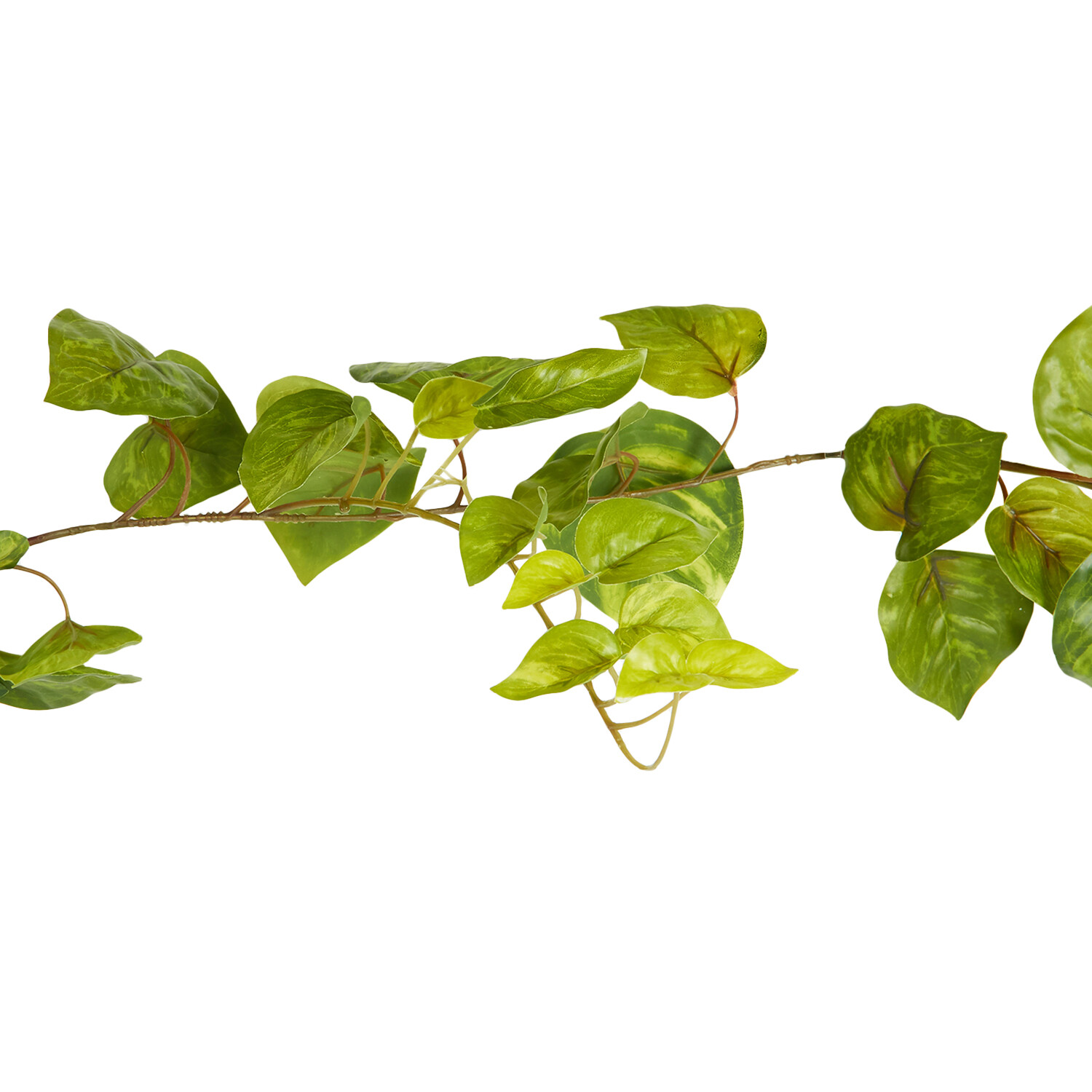 Pothos Garland - Green Image 2