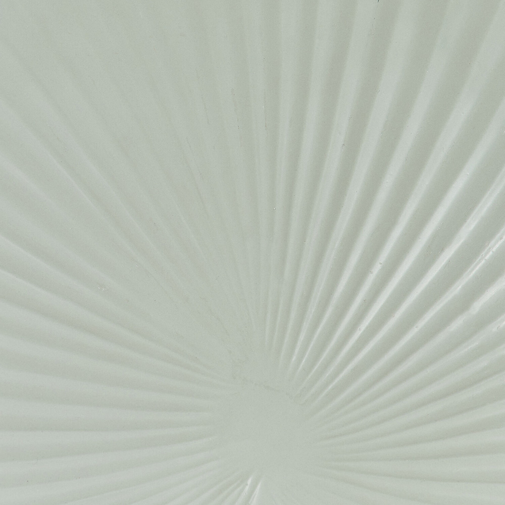 Single Palm Leaf Tray in Assorted styles Image 9