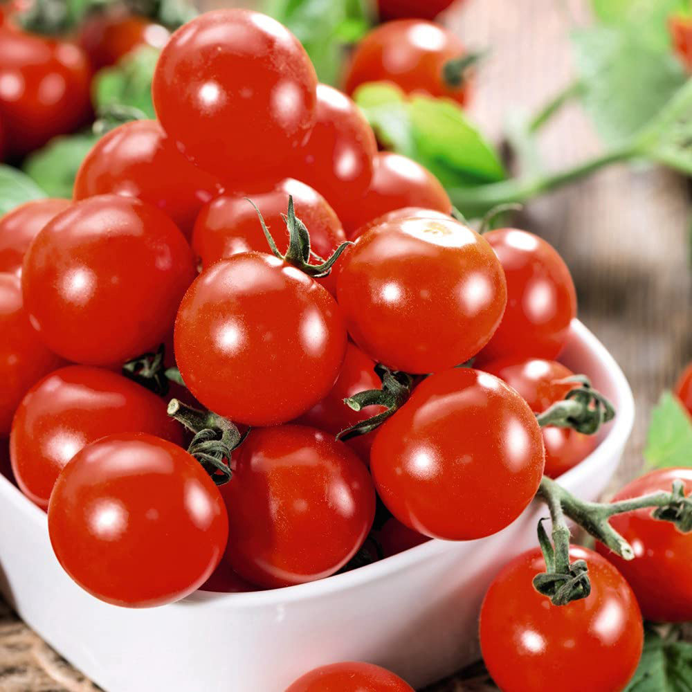 Thompson and Morgan Tomato Grafted Crimson Collection Plant Pot 9cm 8 Pack Image 6