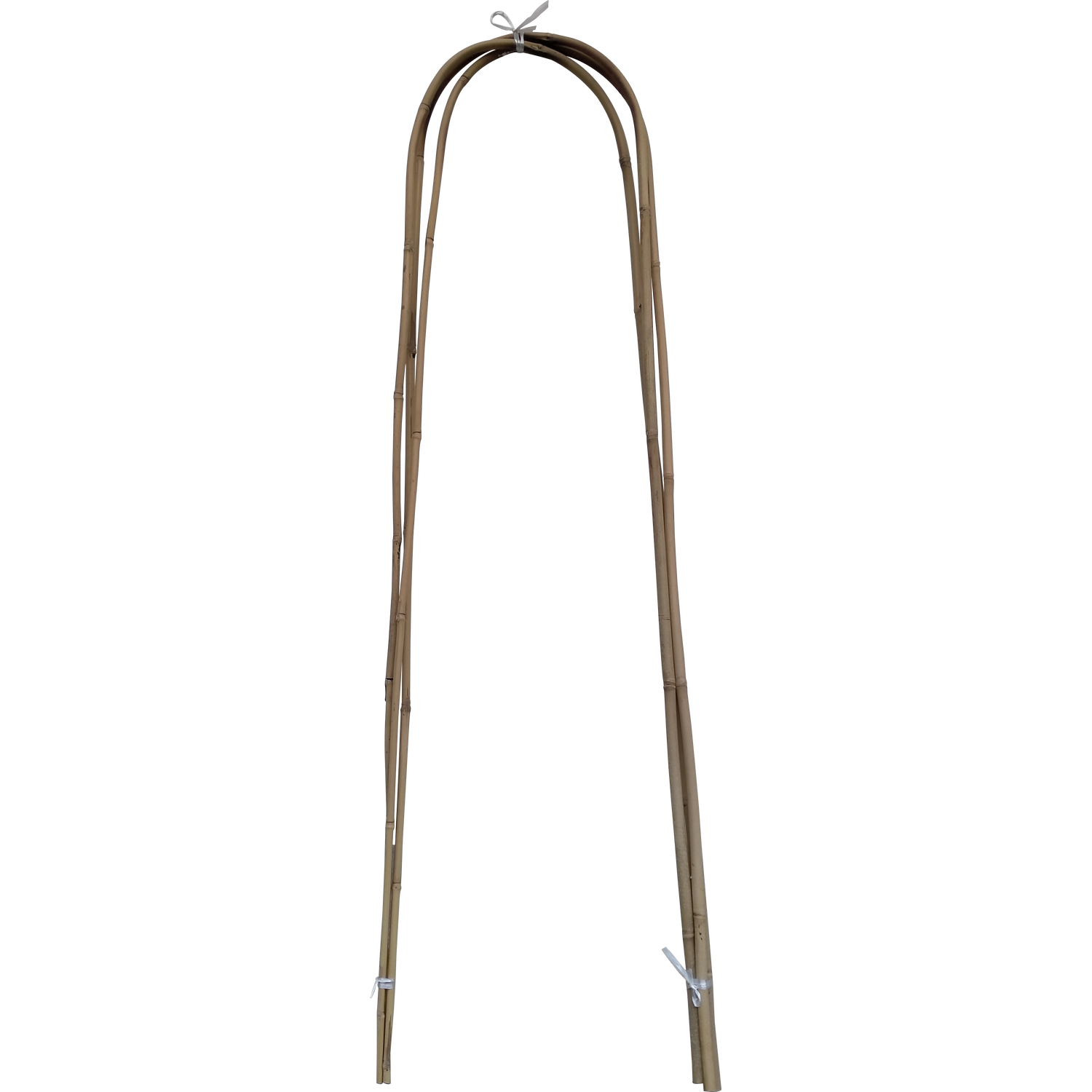 4ft U-Shape Bamboo Canes Image