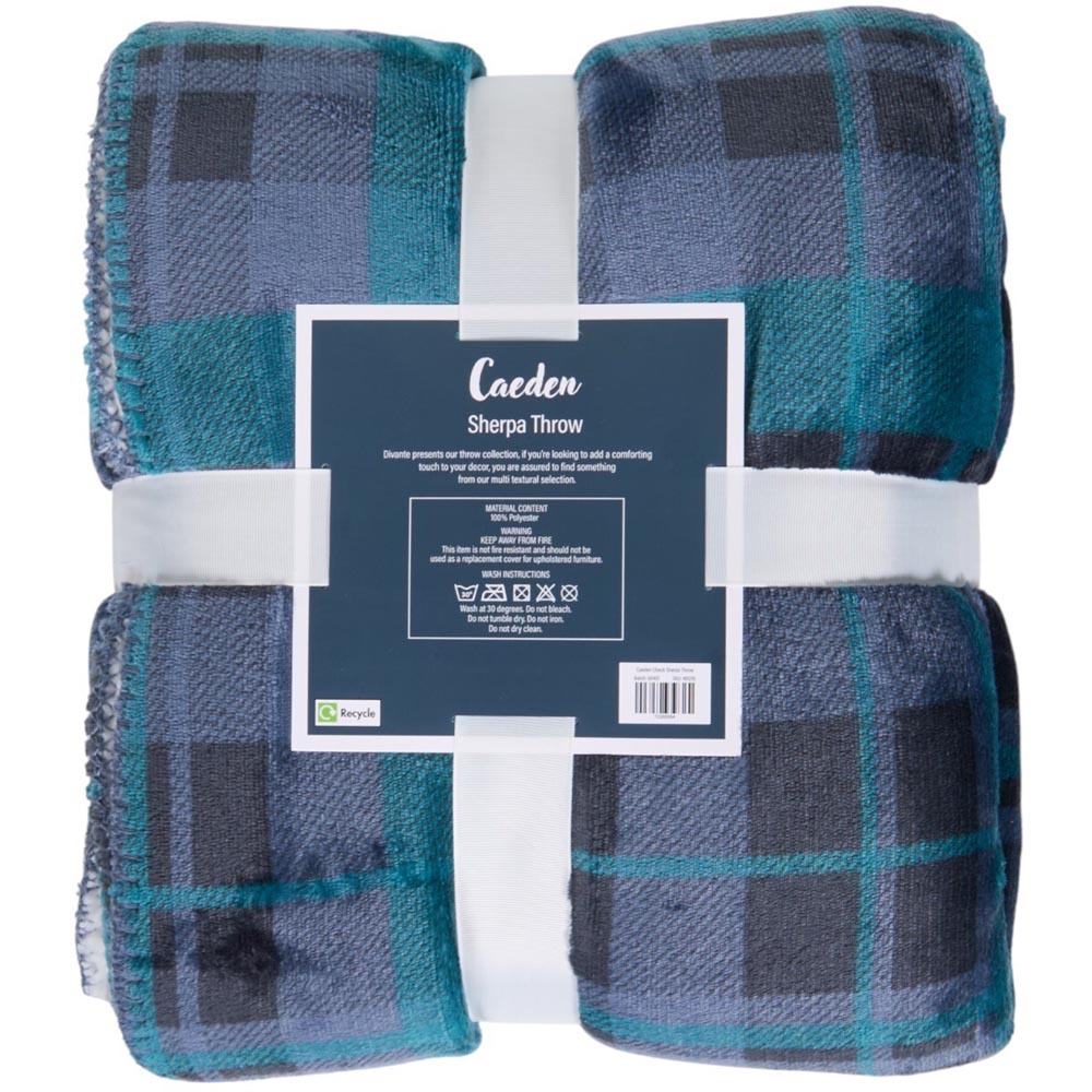 Caeden Check Sherpa Throw - Blue and White Image 2