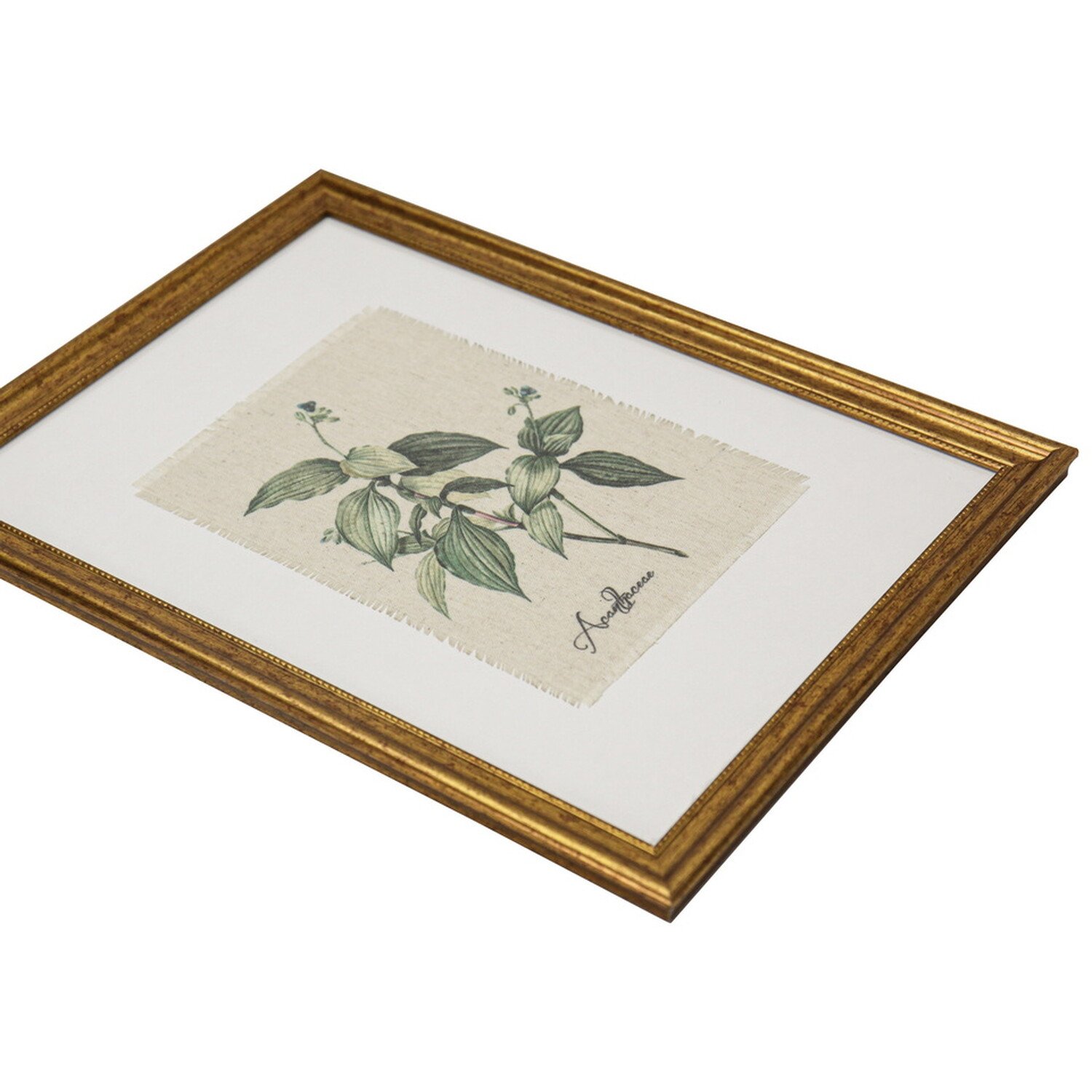 Gold Framed Botanical Flowers Wall Art Image 4
