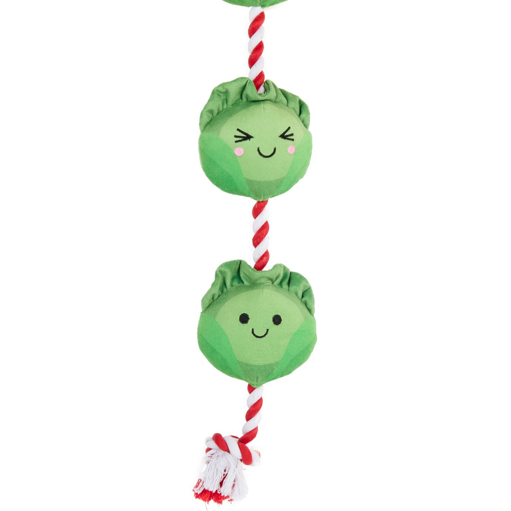 Sprouts Rope Dog Toy Image 2