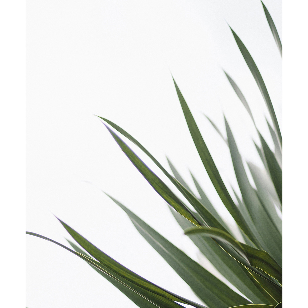 Mirrorstone Nexus 1200W Minimal Leaf Wi-Fi Infrared Heating Panel 995 x 1195mm Image 4