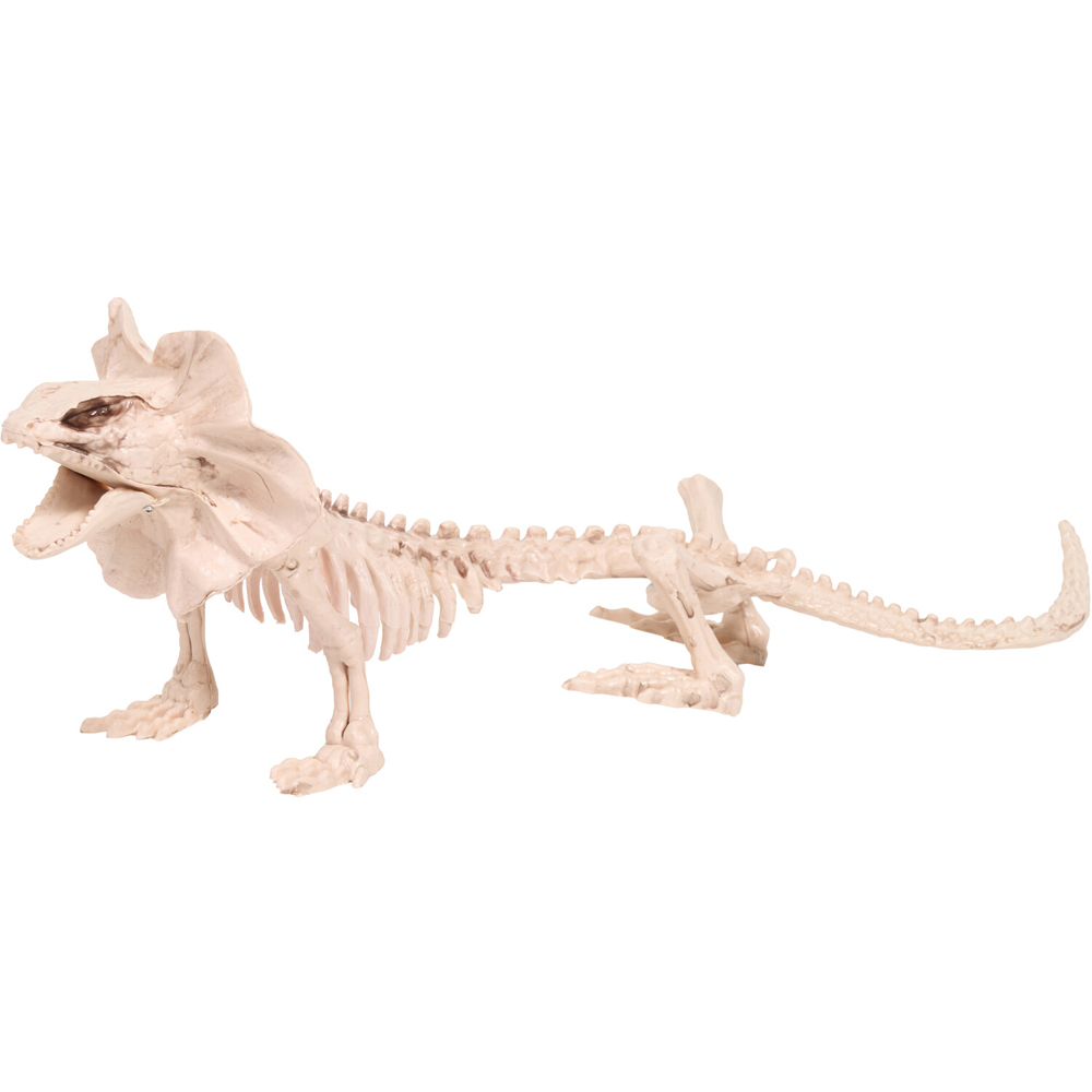 Skeleton Lizard Decoration Neutral Image 2