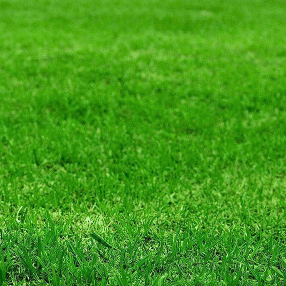 Pro-Kleen Pre Lawn and Seed Starter Fertiliser 5kg 2 x 2.5kg Image 6