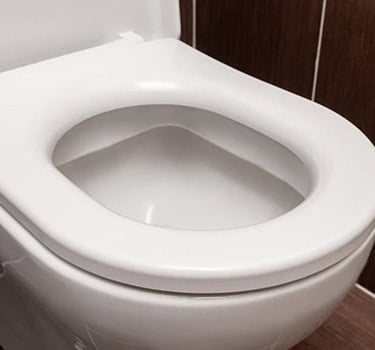 Toilet Seat Buying Guide
