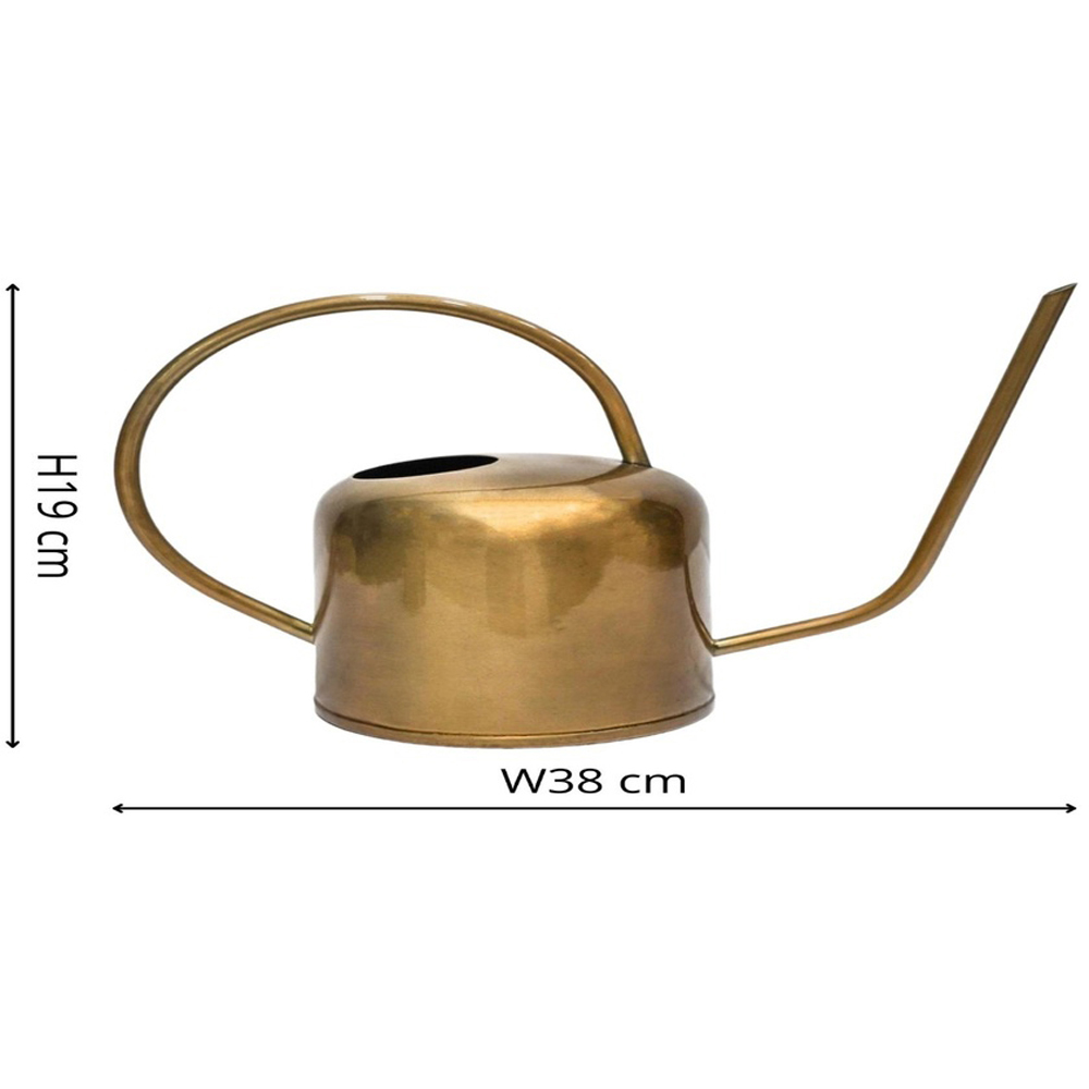 Ivyline Kew Brass Matt Watering Can 19cm Image 4