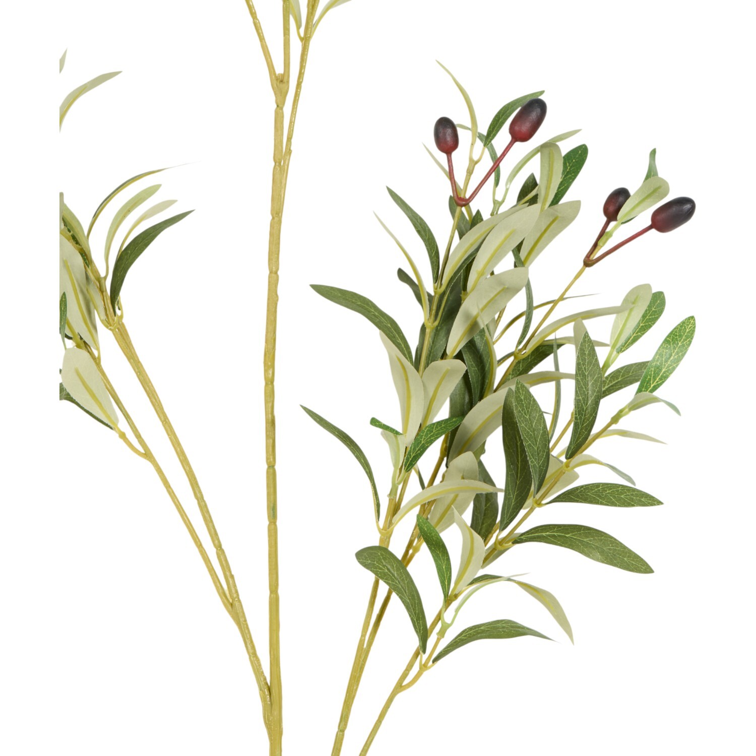 Faux Olive BranchGreen Image 3