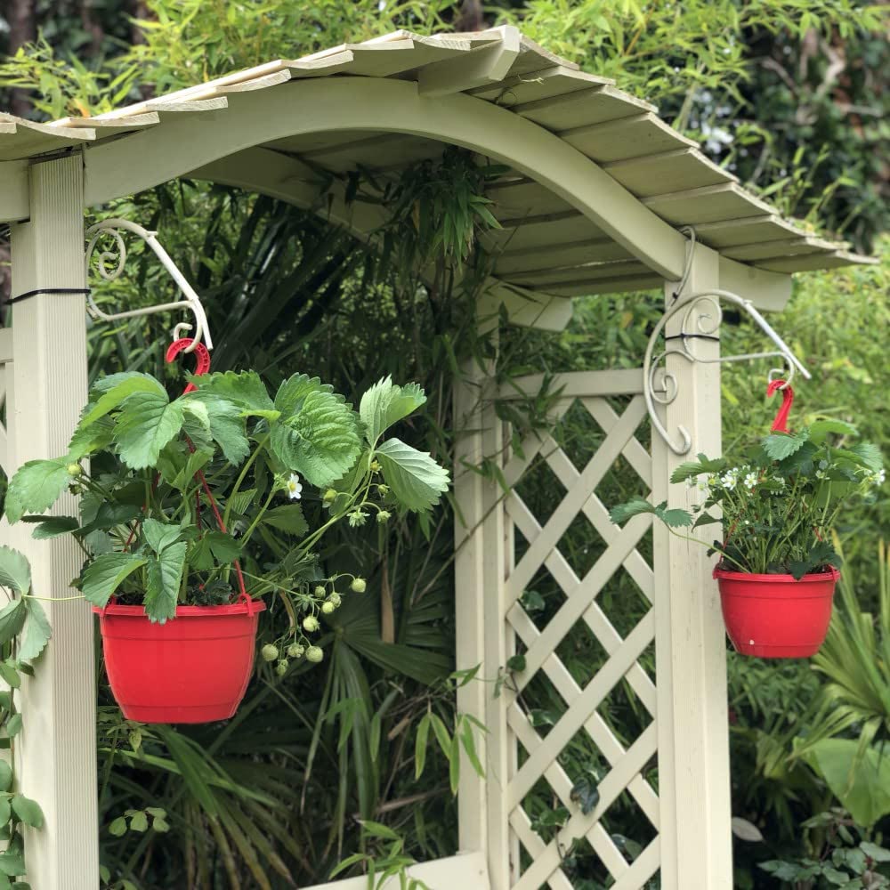 Thompson and Morgan Strawberry Fragaria Elsanta 9cm Plant in Pot 6 Pack Image 2