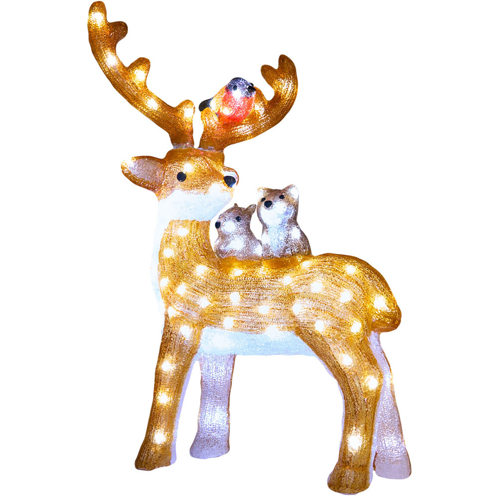 Acrylic Stag and Friends - Cool White Image 2