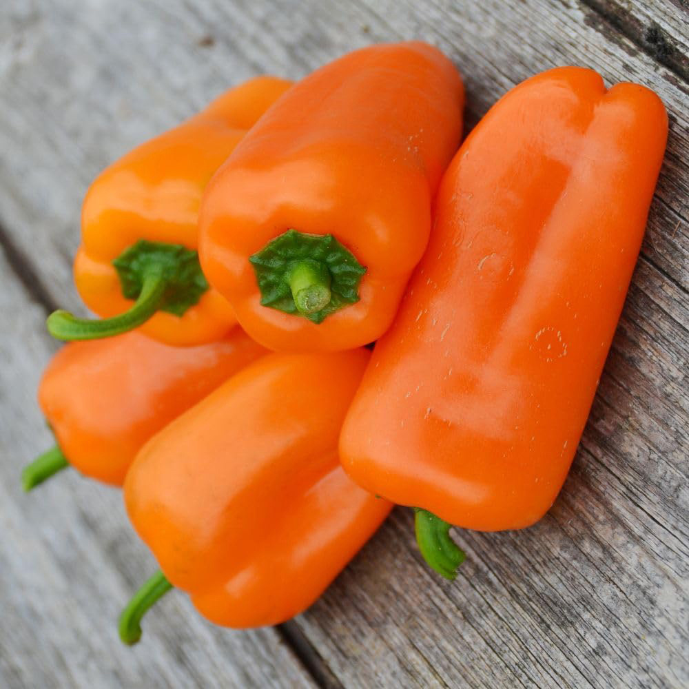 Thompson and Morgan Sweet Pepper Capsicum Annuum Hamik Seed Packet Image 2