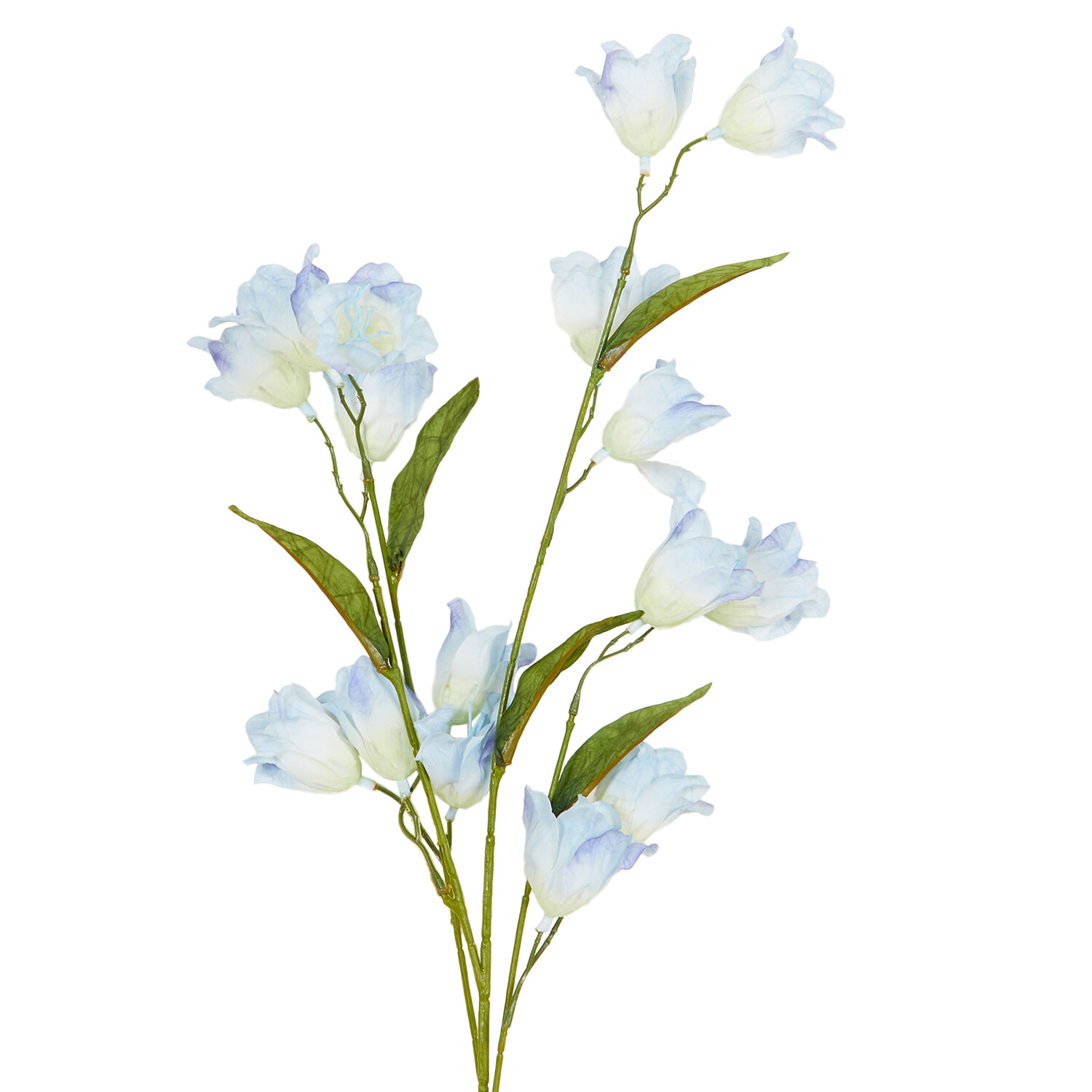 Sweet Pea 78cm  - Multicolour Image 9